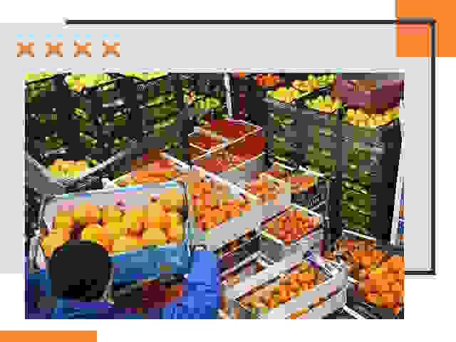 Перевозка скоропортящихся продуктов в Георгиевске